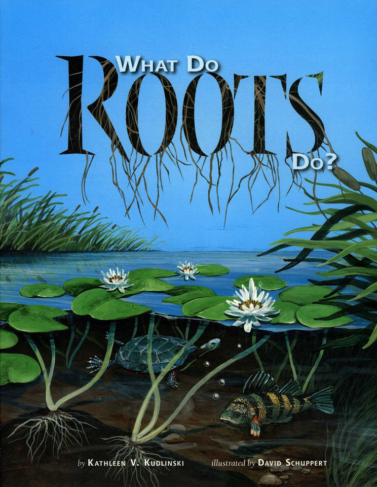 What Do Roots Do? book cover by Kathleen V. Kudlinski