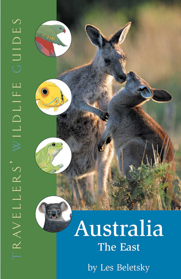 Australia - The East (Traveller's Wildlife Guides): Traveller's Wildlife Guide (Travellers' Wildlife Guides) book cover by Les Beletsky