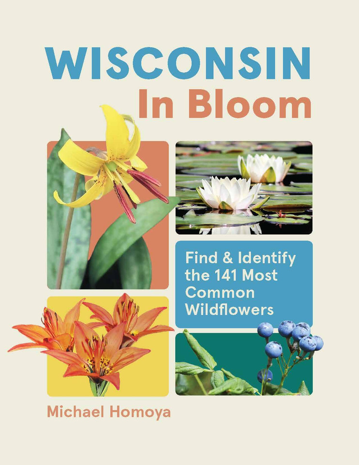 Wisconsin in Bloom: Find and Identify the 141 Most Common Wildflowers (In Bloom) book cover by Michael Homoya