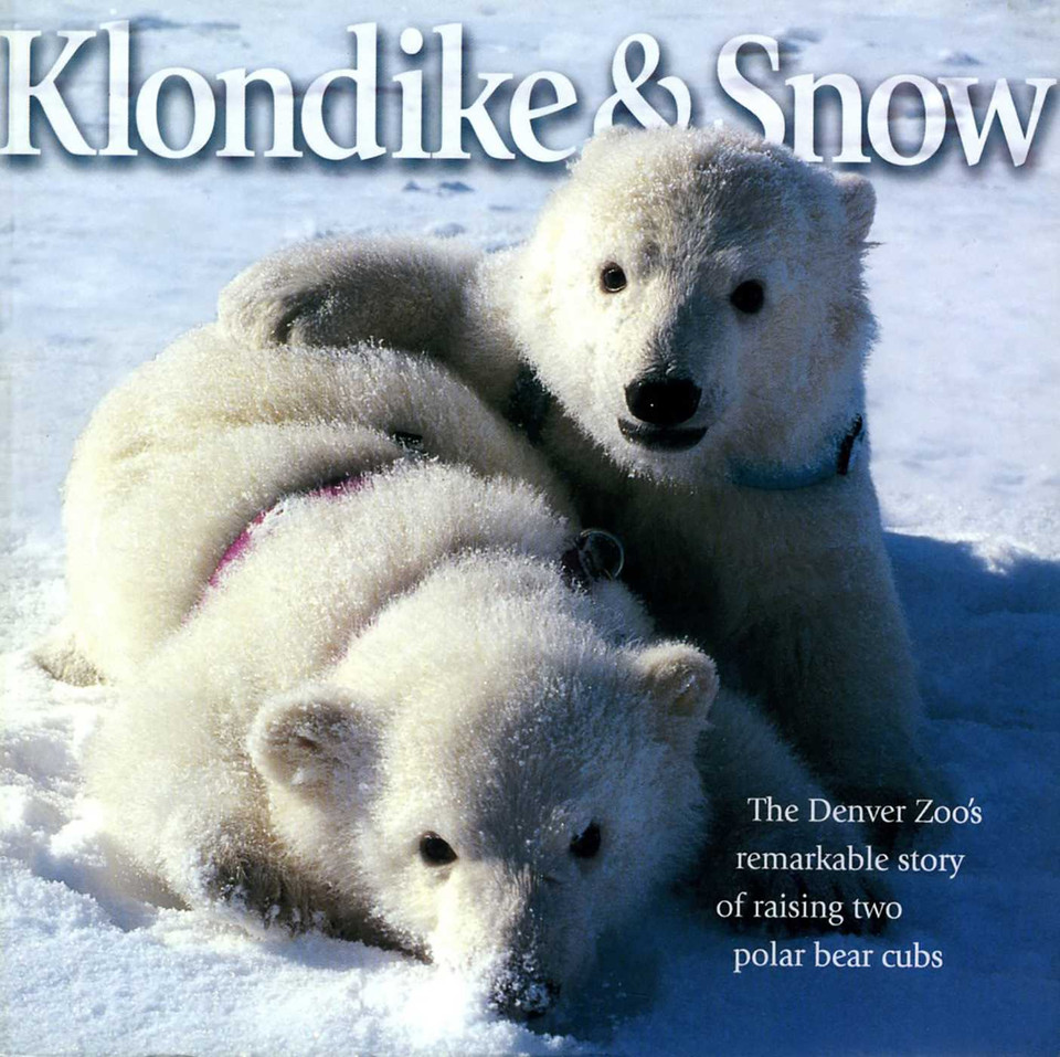 Klondike & Snow: The Denver Zoo's Remarkable Story of Raising Two Polar Bear Cubs book cover by David E. Kenny, Cynthia Bickel, Dennis Roling