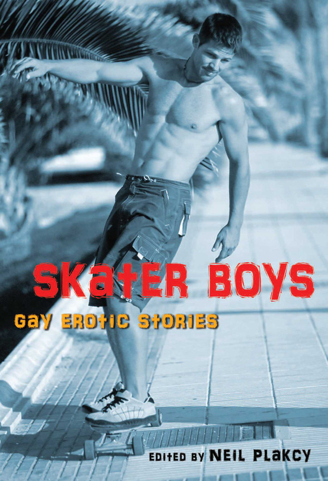 Skater Boys: Gay Erotic Stories book cover by 