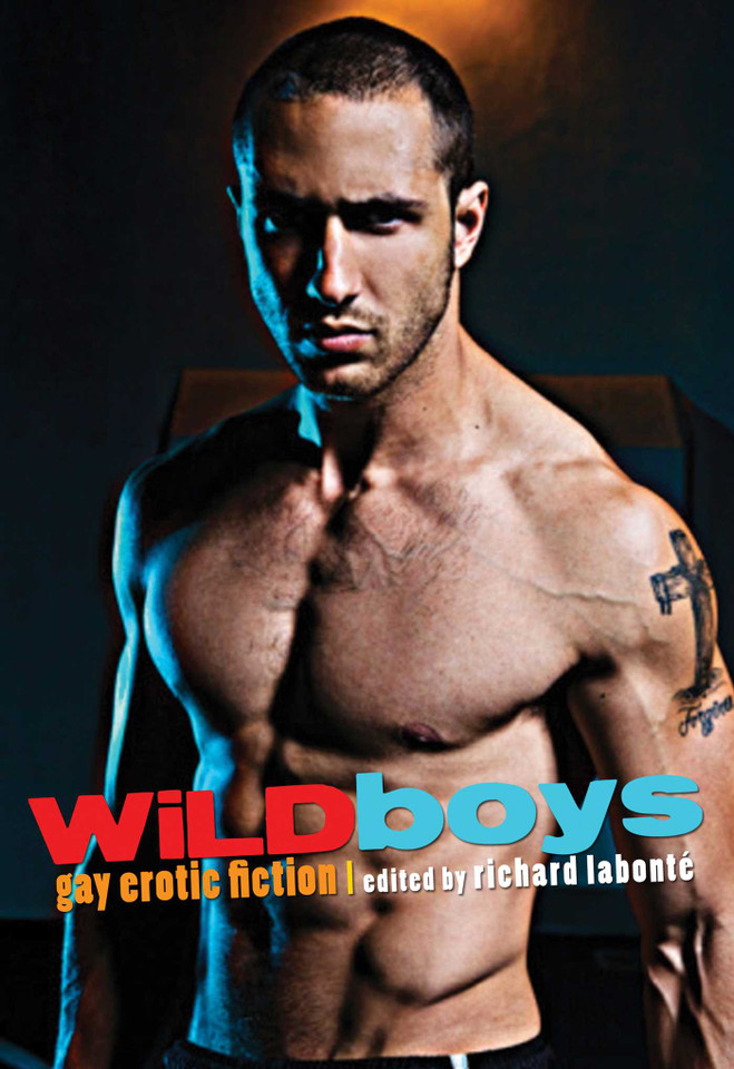 Wild Boys: Gay Erotic Fiction book cover by 