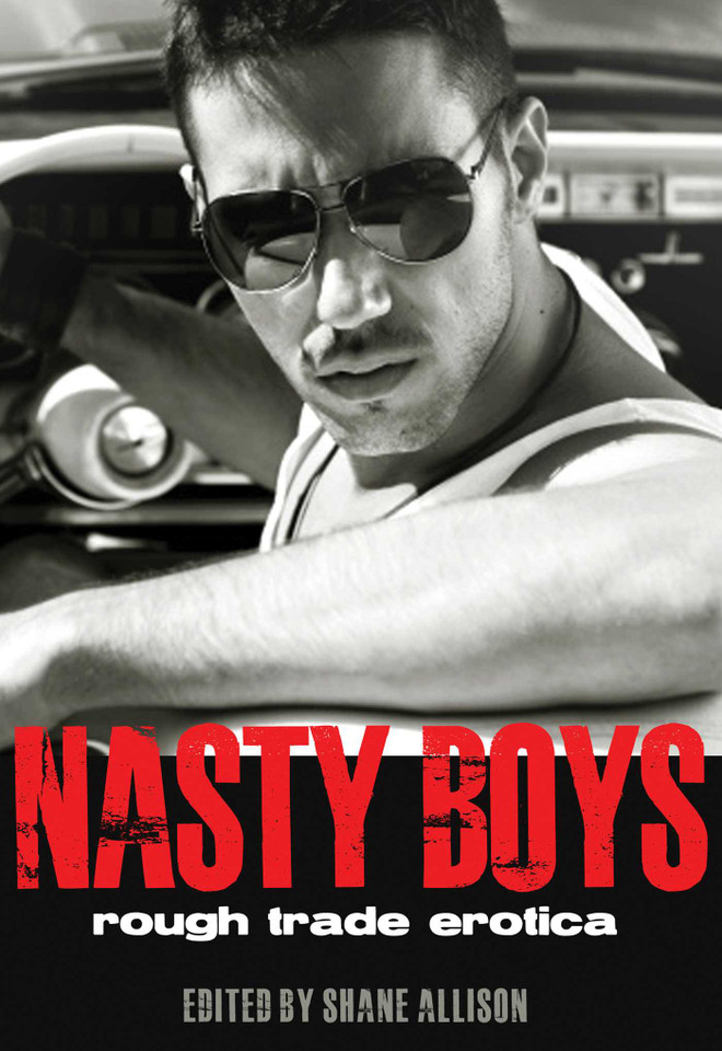 Nasty Boys: Rough Trade Erotica book cover by 