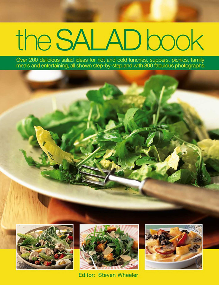 The Salad Book: Over 200 Delicious Salad Ideas For Hot And Cold Lunches, Suppers, Picnics, Family Meals And Entertaining, All Shown Step By Step With Over 800 Fabulous Photographs book cover by Steven Wheeler