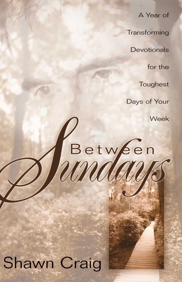 Between Sundays book cover by Shawn Craig