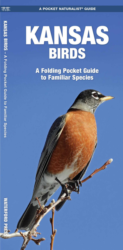 Kansas Birds: A Folding Pocket Guide to Familiar Species (Wildlife and Nature Identification) book cover by James Kavanagh