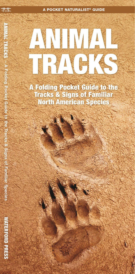 Animal Tracks: A Folding Pocket Guide to the Tracks & Signs of Familiar North American Species (Wildlife and Nature Identification) book cover by James Kavanagh