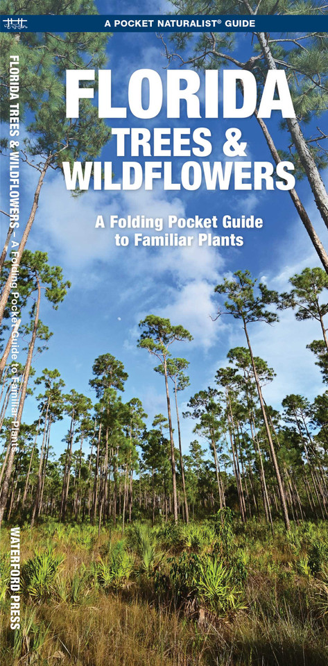 Florida Trees & Wildflowers: A Folding Pocket Guide to Familiar Plants (Nature Observation North America) book cover by James Kavanagh, Waterford Press