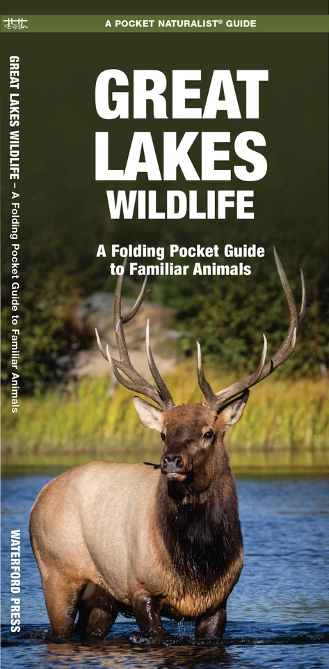 Great Lakes Wildlife: A Folding Pocket Guide to Familiar Animals (Nature Observation North America) book cover by James Kavanagh, Waterford Press