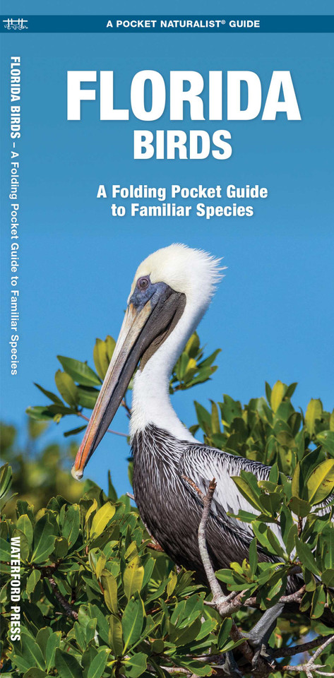Florida Birds: A Folding Pocket Guide to Familiar Species (Nature Observation North America) book cover by James Kavanagh, Waterford Press