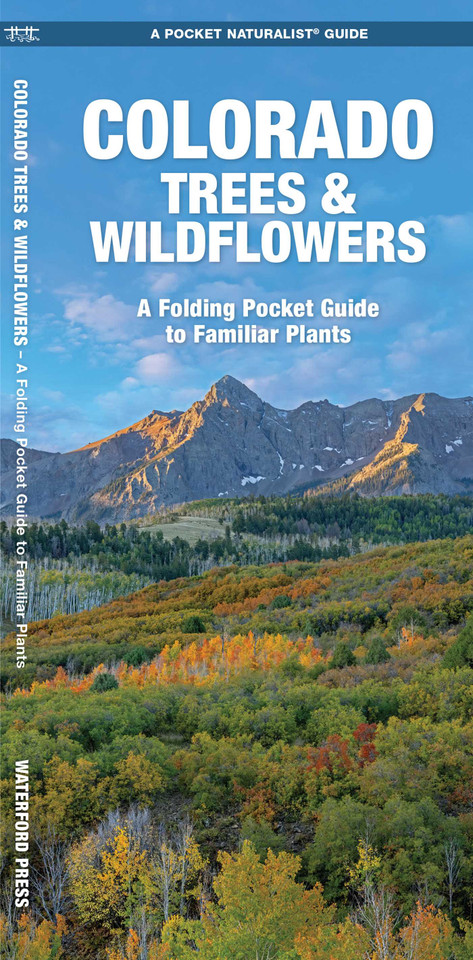 Colorado Trees & Wildflowers (Nature Observation North America) book cover by James Kavanagh