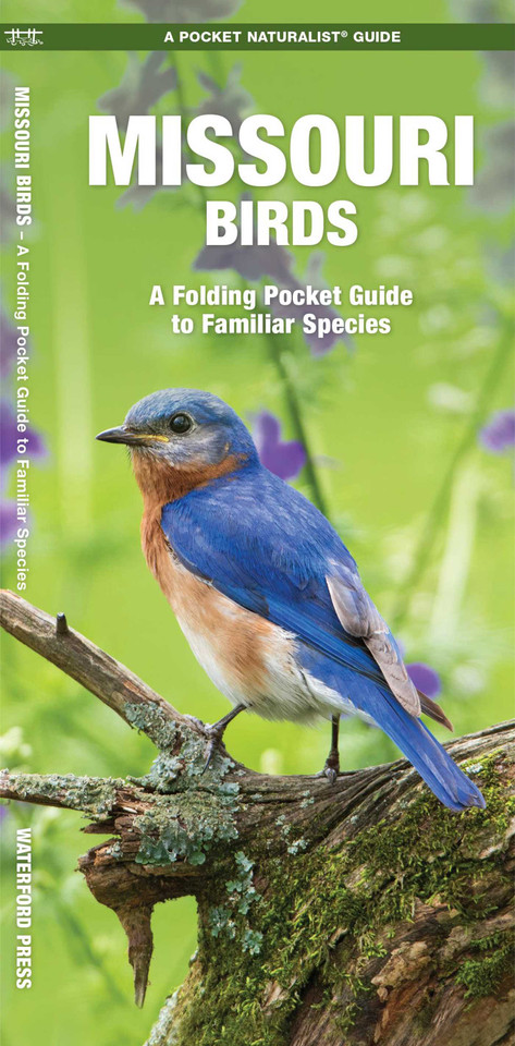 Missouri Birds: A Folding Pocket Guide to Familiar Species (Nature Observation North America) book cover by James Kavanagh, Waterford Press