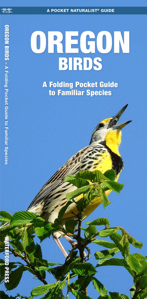 Oregon Birds: A Folding Pocket Guide to Familiar Species (Nature Observation North America) book cover by James Kavanagh, Waterford Press