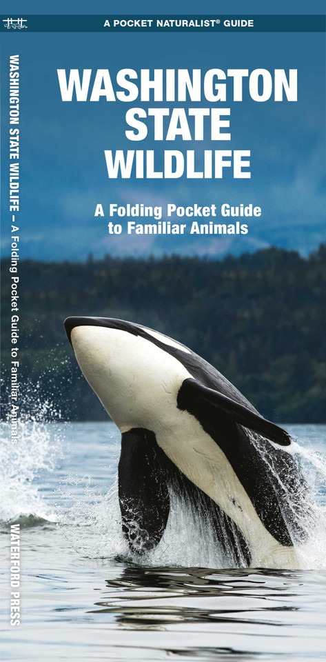 Washington State Wildlife (Nature Observation North America) book cover by James Kavanagh