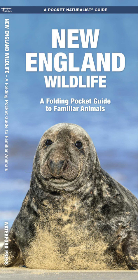 New England Wildlife (Nature Observation North America) book cover by James Kavanagh, Waterford Press