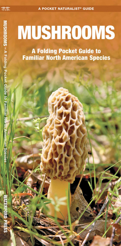 Mushrooms: A Folding Pocket Guide to Familiar North American Species (Nature Observation North America) book cover by James Kavanagh
