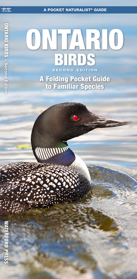 Ontario Birds: A Folding Pocket Guide to Familiar Species (Wildlife and Nature Identification) book cover by James Kavanagh, Waterford Press