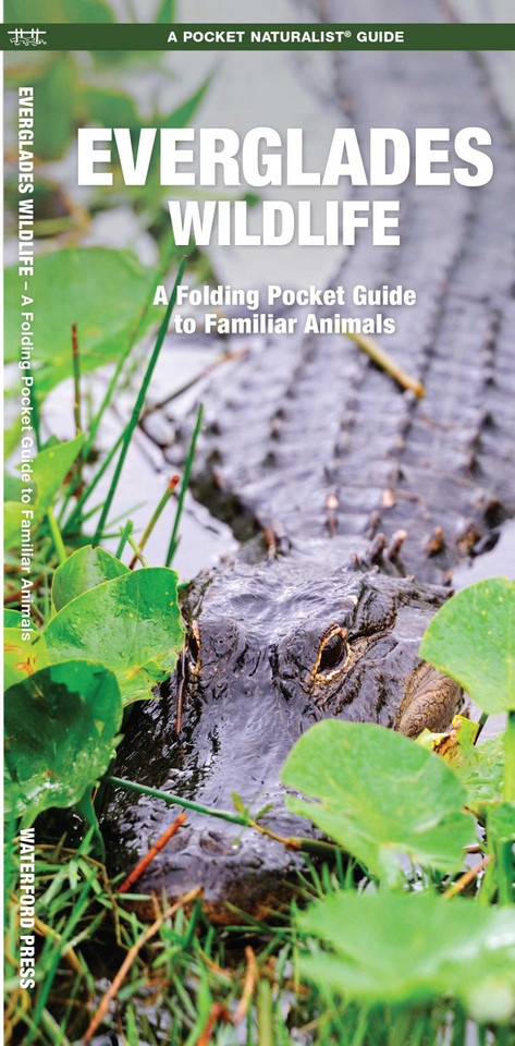 Everglades Wildlife: A Folding Pocket Guide to Familiar Animals (Wildlife and Nature Identification) book cover by James Kavanagh, Waterford Press