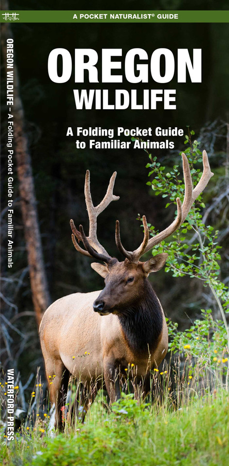 Oregon Wildlife: A Folding Pocket Guide to Familiar Animals (Wildlife and Nature Identification) book cover by James Kavanagh