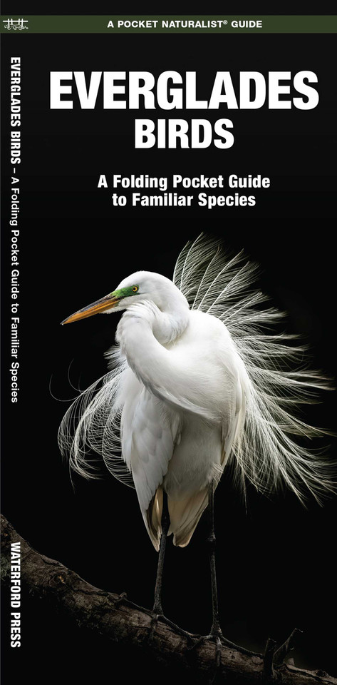 Everglades Birds (Nature Observation North America) book cover by James Kavanagh, Waterford Press