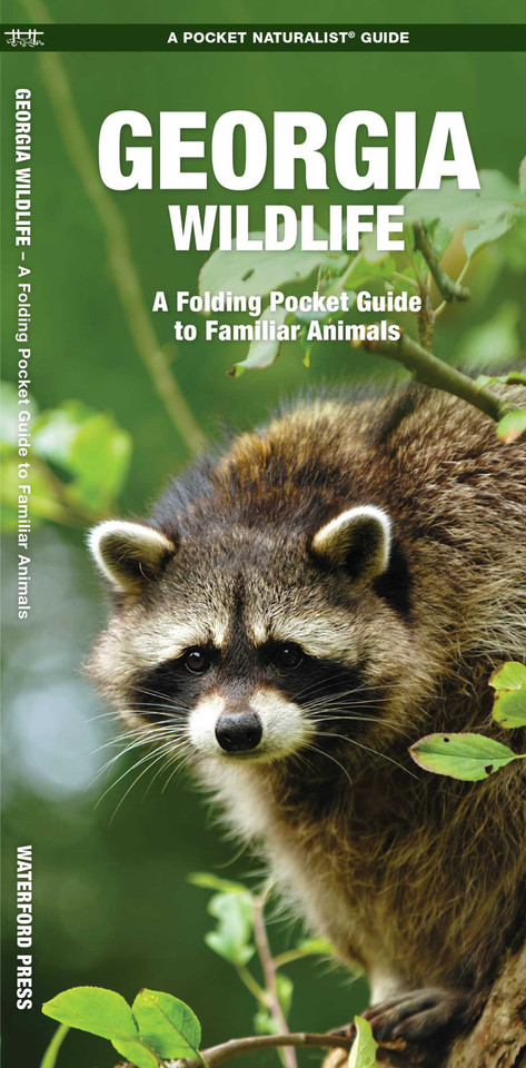 Georgia Wildlife (Nature Observation North America) book cover by James Kavanagh, Waterford Press