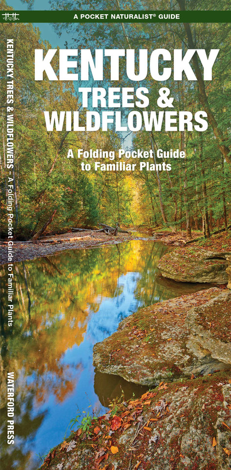 Kentucky Trees & Wildflowers (Nature Observation North America) book cover by James Kavanagh, Waterford Press