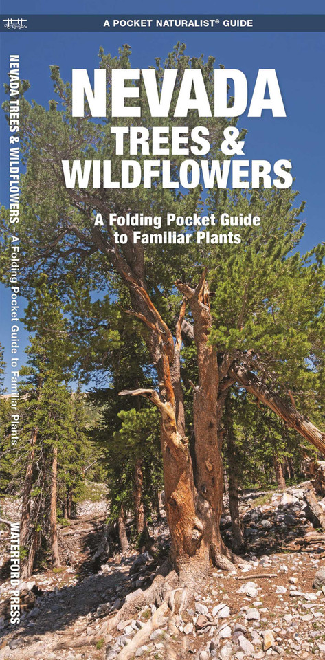 Nevada Trees & Wildflowers: A Folding Pocket Guide to Familiar Plants (Nature Observation North America) book cover by James Kavanagh, Waterford Press