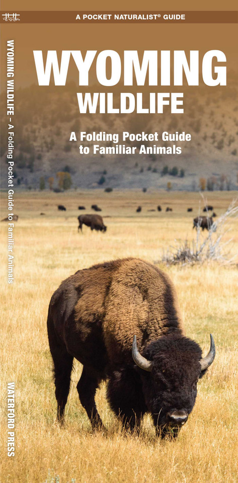 Wyoming Wildlife: A Folding Pocket Guide to Familiar Animals (Nature Observation North America) book cover by James Kavanagh