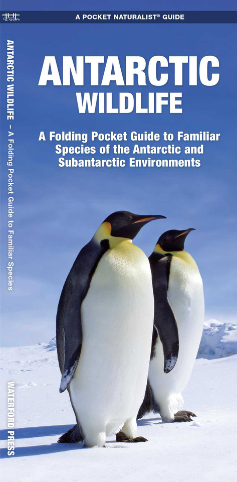 Antarctic Wildlife (Nature Observation International) book cover by James Kavanagh, Waterford Press
