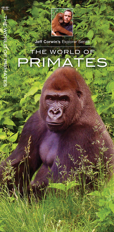 World of Primates (Discovery) book cover by Jeff Corwin