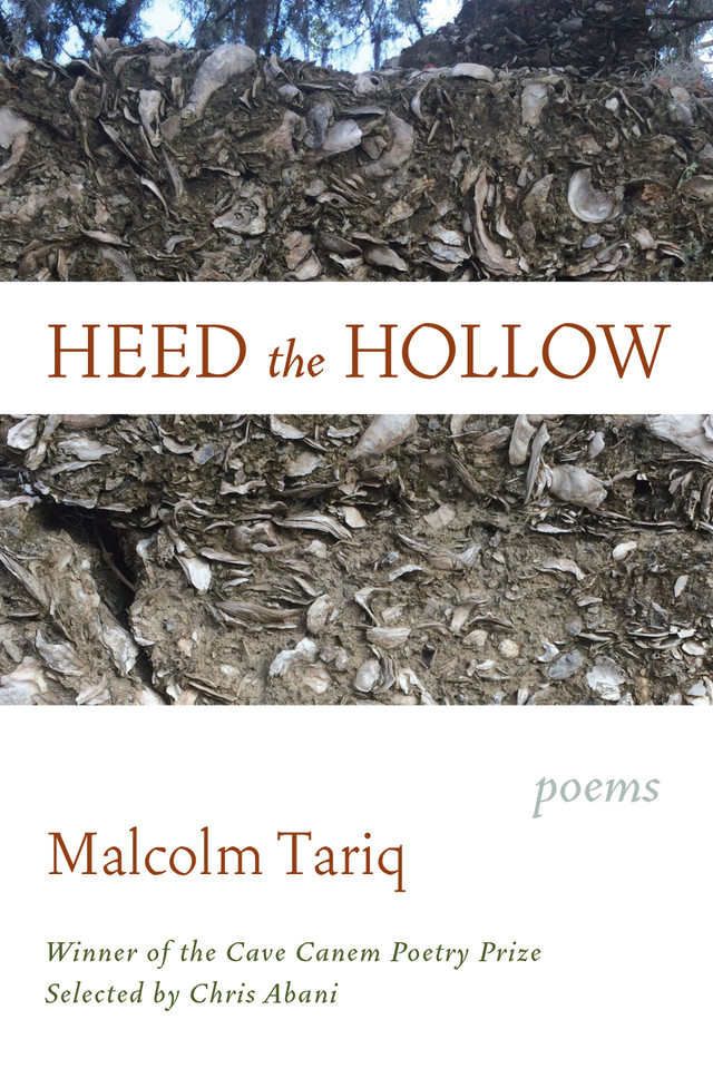 Heed the Hollow: Poems book cover by Malcolm Tariq