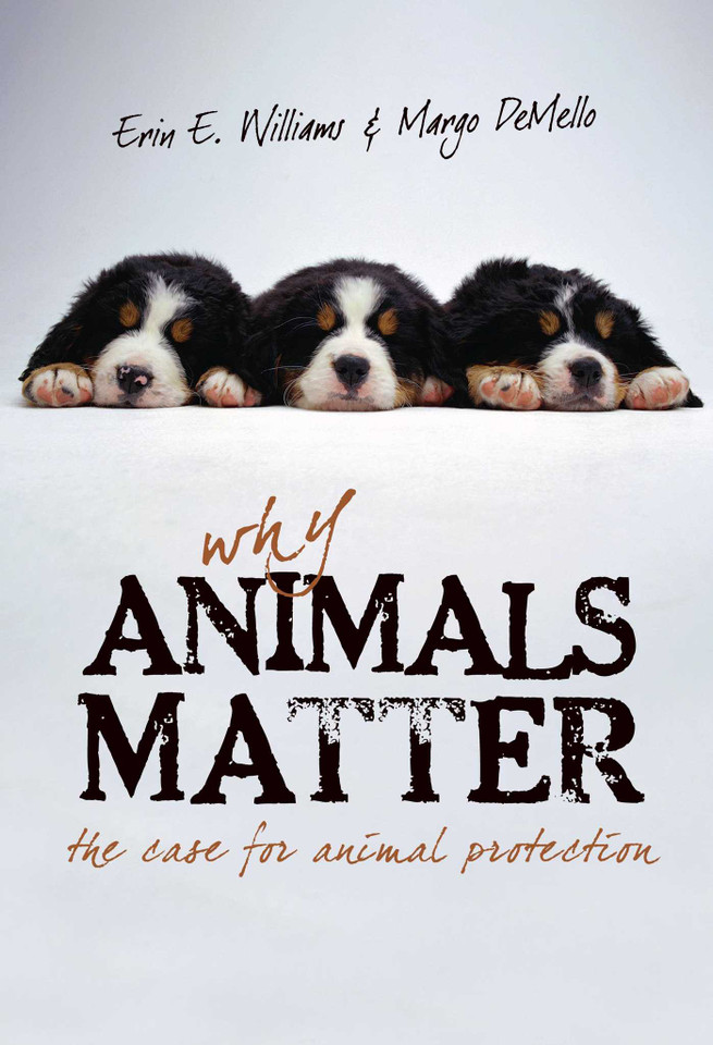 Why Animals Matter: The Case for Animal Protection book cover by Erin E. Williams, Margo Demello