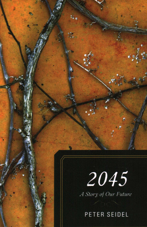 2045: A Story of Our Future book cover by Peter Seidel