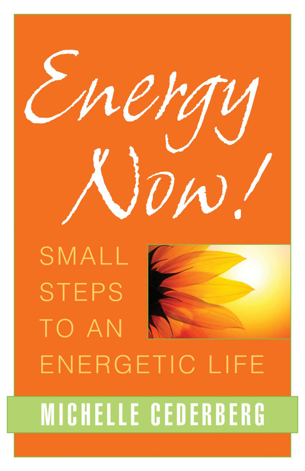 Energy Now!: Small Steps to an Energetic Life book cover by Michelle Cederberg