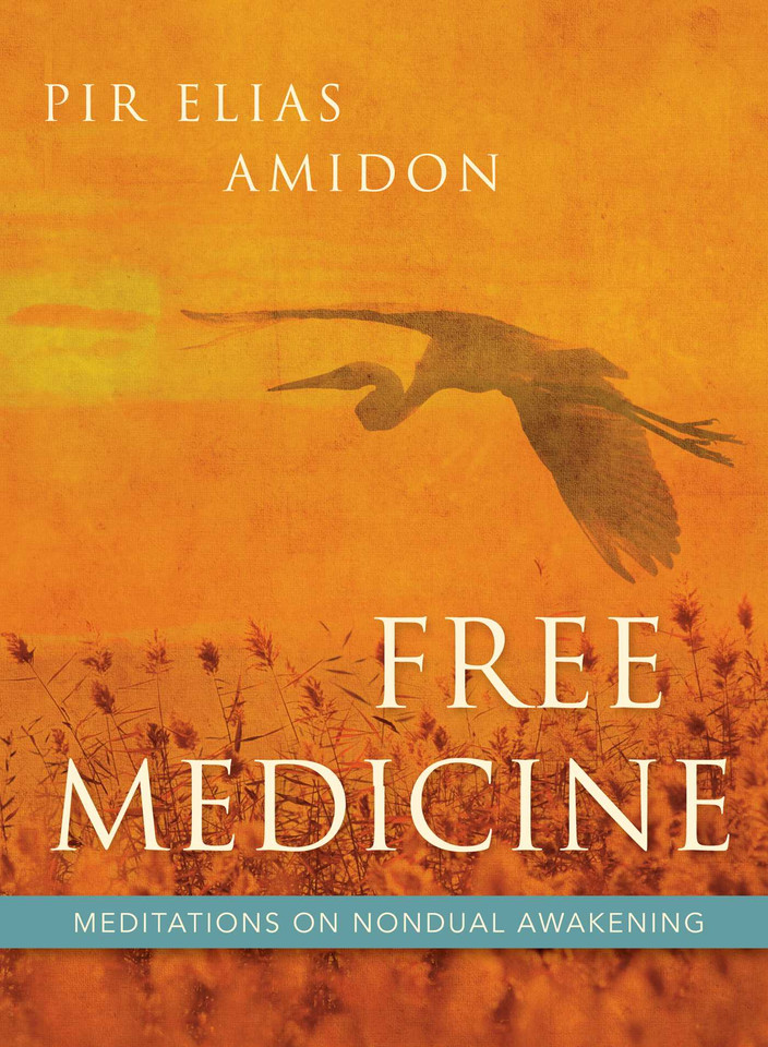 Free Medicine: Meditations on Nondual Awakening book cover by PirElias Amidon, Pir Elias Amidon