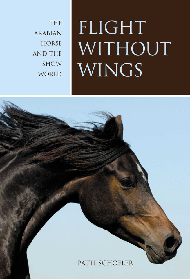 Flight without Wings: The Arabian Horse And The Show World book cover by Patti Schofler