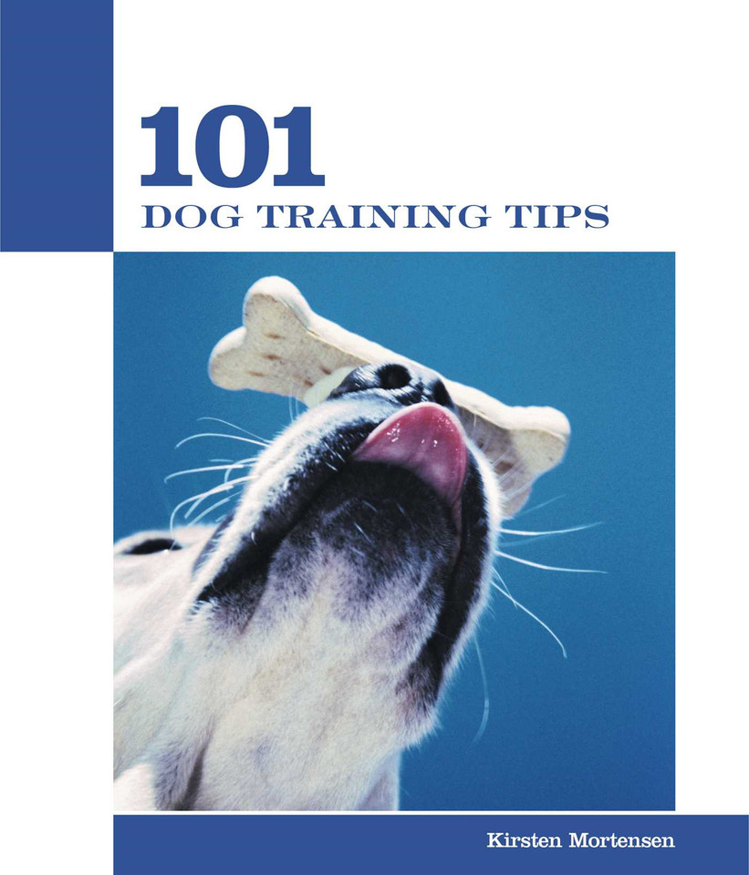 101 Dog Training Tips (101 Tips) book cover by Kirsten Mortensen