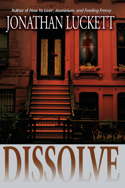 Dissolve: A Novel book cover by Jonathan Luckett