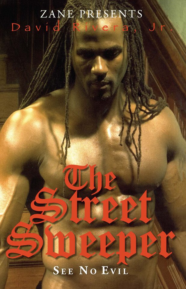 The Street Sweeper: See No Evil book cover by David Rivera