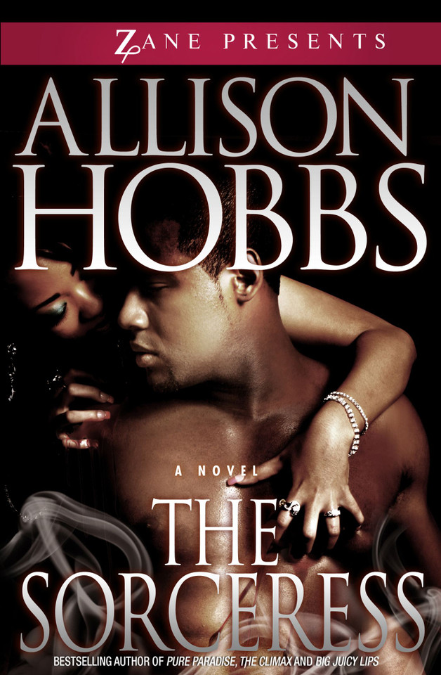 The Sorceress: A Novel book cover by Allison Hobbs