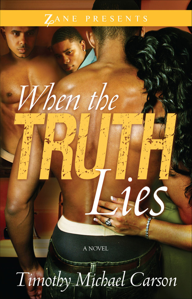 When the Truth Lies: A Novel book cover by Timothy  Michael Carson