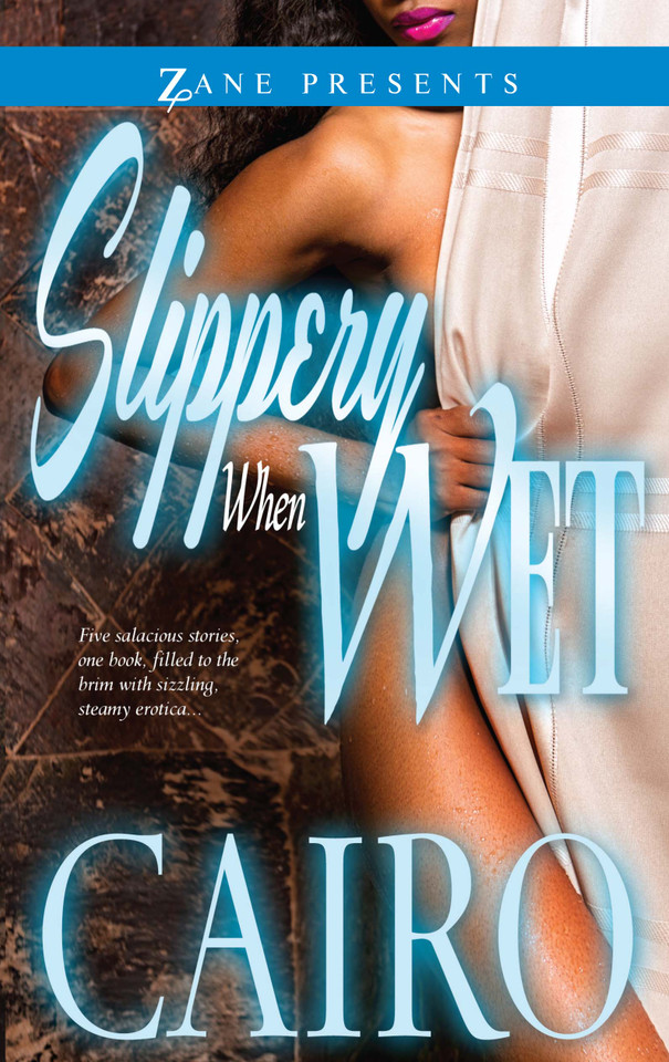 Slippery When Wet: A Novel book cover by Cairo