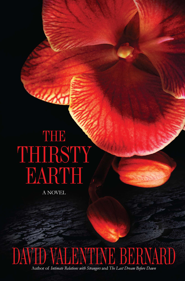 The Thirsty Earth: A Novel book cover by David Valentine Bernard