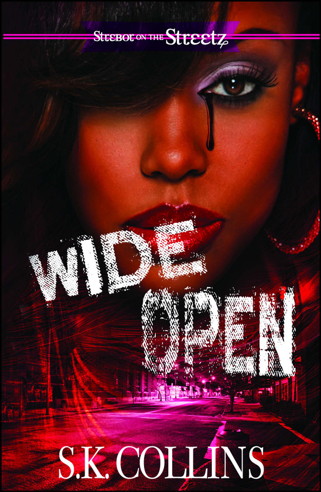 Wide Open book cover by S. K. Collins