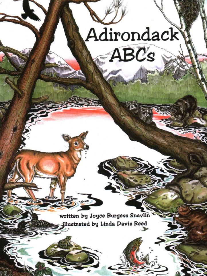 Adirondack ABCs book cover by Snavlin Reed