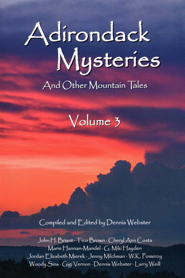 Adirondack Mysteries: And Other Mountain Tales book cover by Dennis Webster