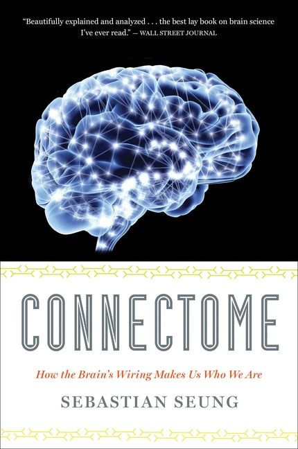 Connectome: How the Brain's Wiring Makes Us Who We Are book cover by Sebastian Seung