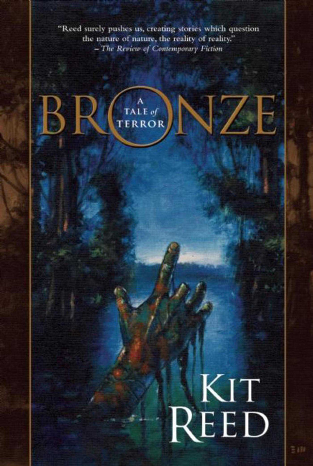Bronze book cover by Kit Reed