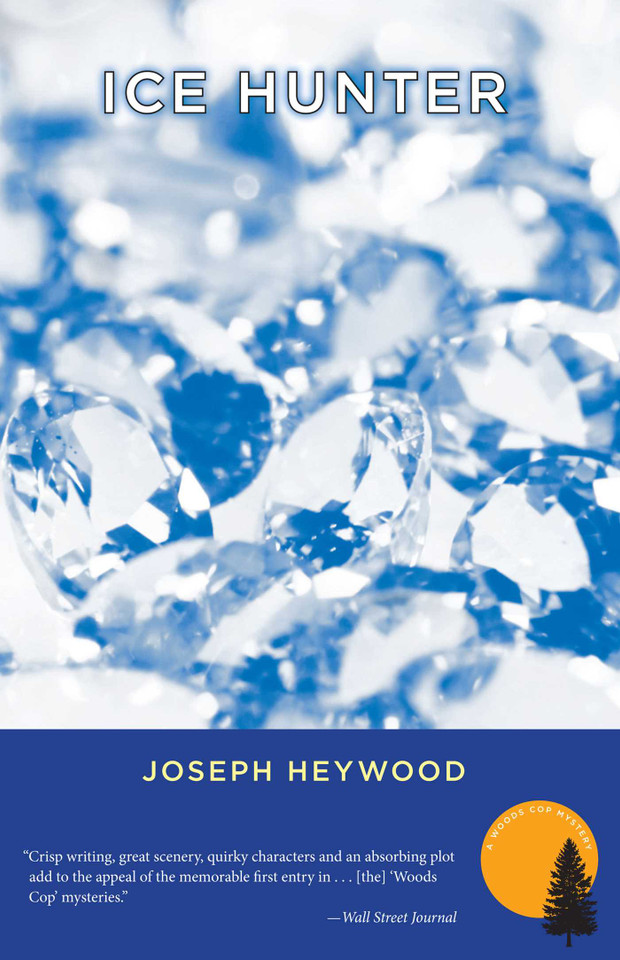Ice Hunter: A Woods Cop Mystery book cover by Joseph Heywood