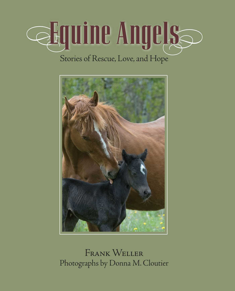 Equine Angels: Stories Of Rescue, Love, And Hope book cover by Frank Weller